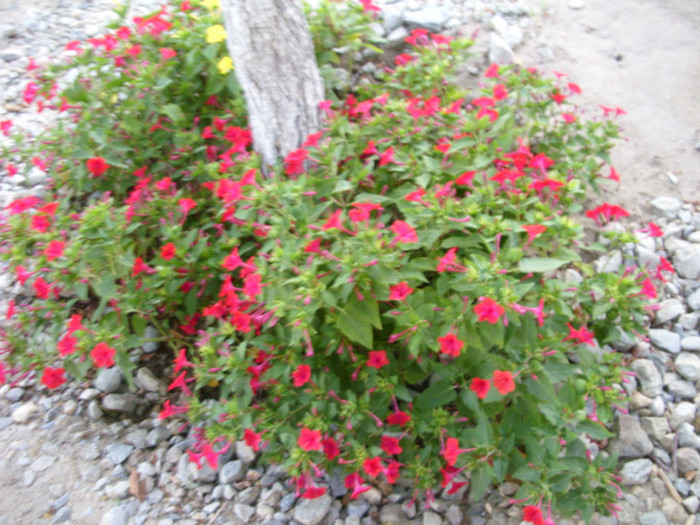 SDC14059 - 20 august