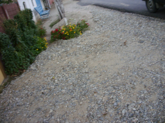 SDC14060 - 20 august