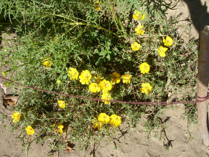 SDC14081 - 20 august