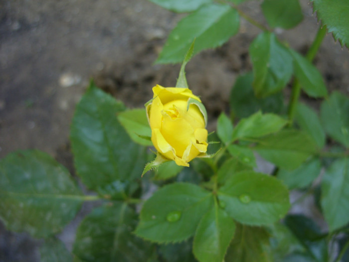 SDC14088 - 20 august