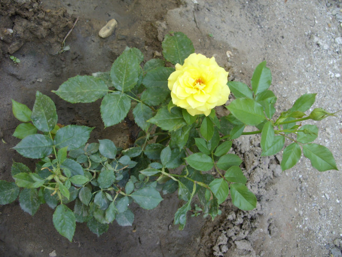 SDC14092 - 20 august