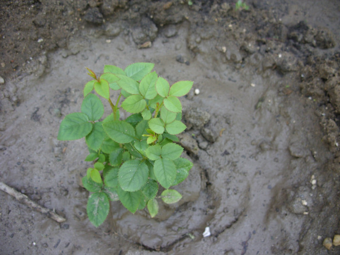 SDC14111 - 20 august