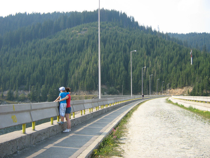 IMG_3105 - Concediu - Transalpina 2012