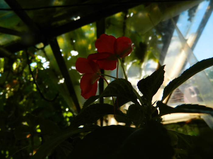 DSCN8855