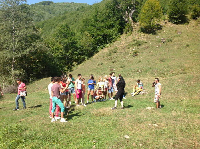 388012_443807512308703_1741652791_n