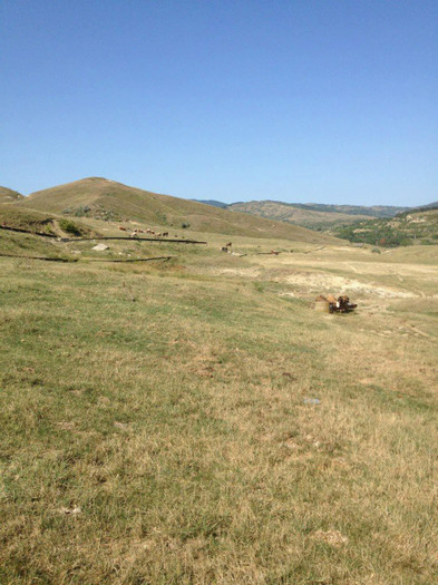 393904_444208082268646_844288856_n