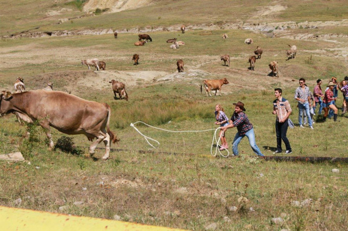 546499_353568714718110_688175531_n