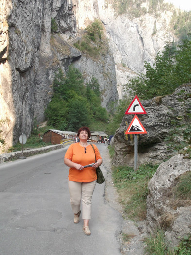 Picture 4384 - SINGURATATEA ALERGATORULUI DE CURSA LUNGA