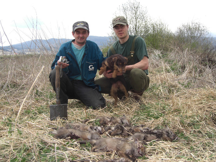 Sarreti Vadasz Celli