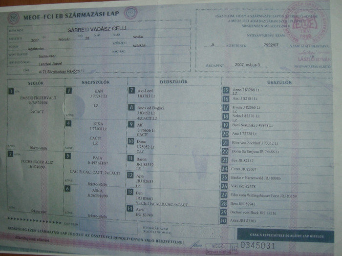 Sarreti Vadasz Celli, Tk