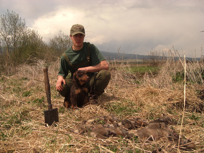 Sarreti Vadasz Celli