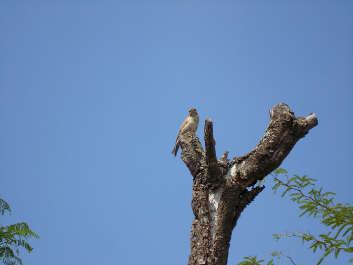 DSC05585 - BIOPARC