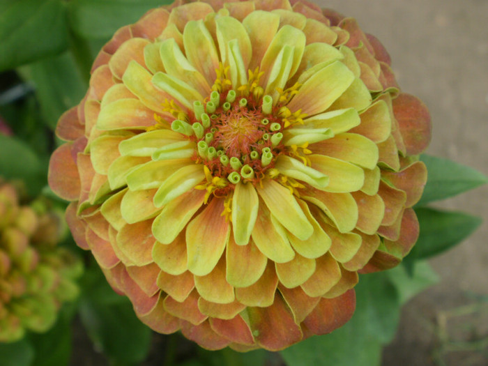 P7284366