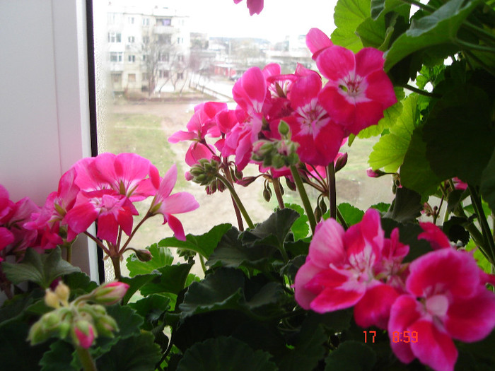 DSC04449