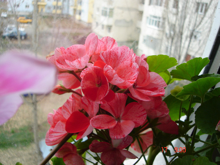 DSC04450