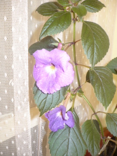 P1120225