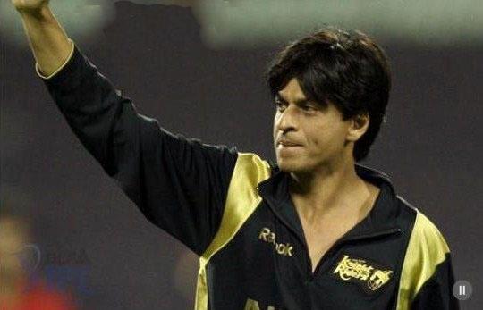 548782_221227707984539_464096218_n