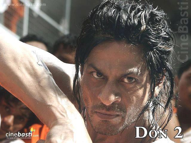 557751_236425063131470_1873433065_n - Shahrukh Khan 3