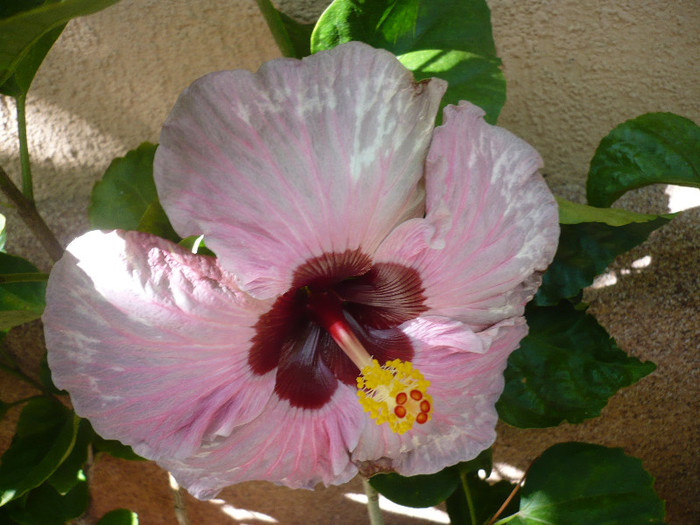 P1170950
