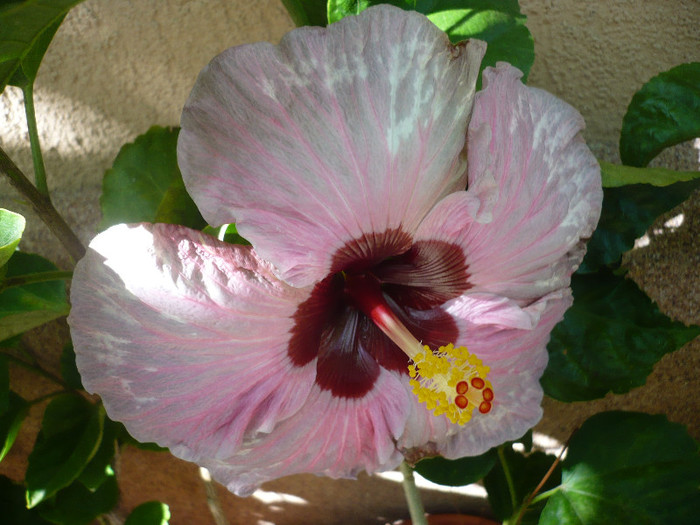 P1170951