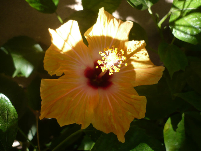 P1170957