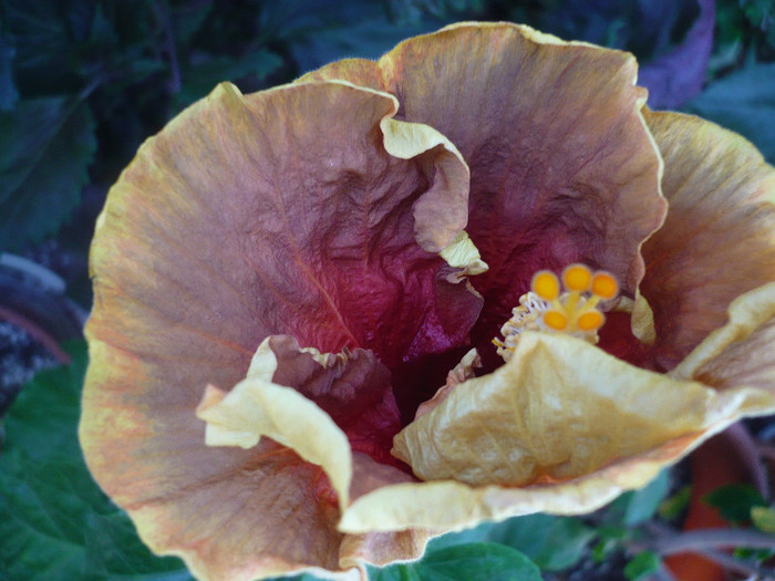 P1170965