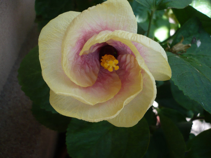 P1170967