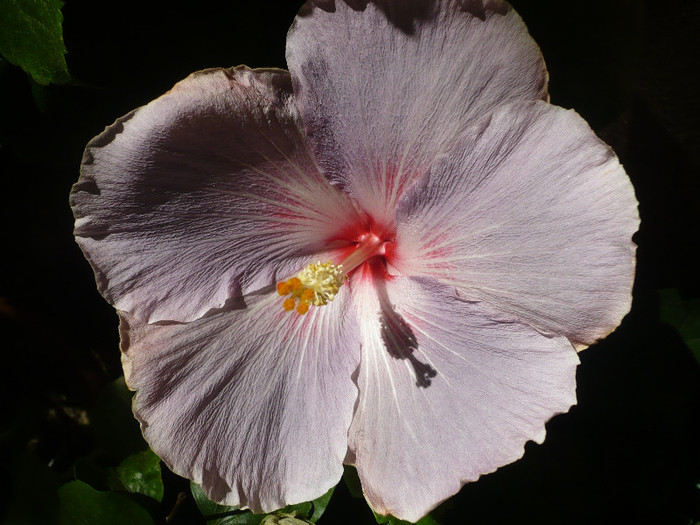 P1170968