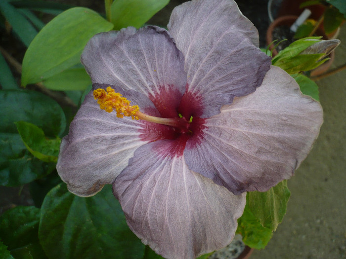 P1170984