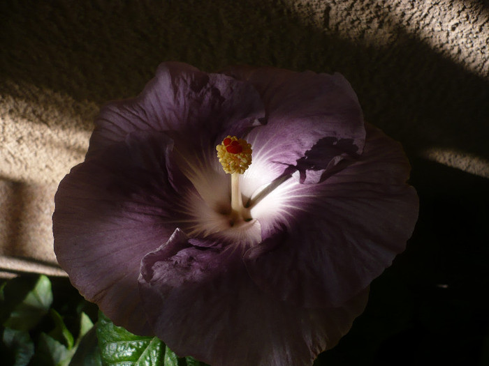 P1170986