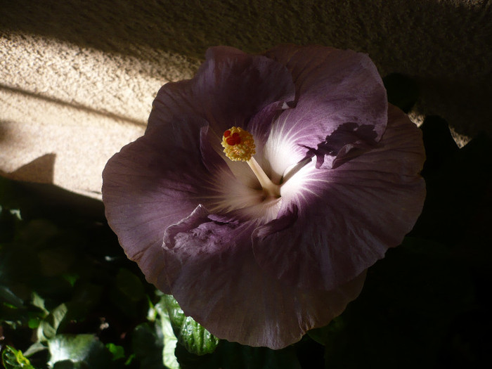 P1170988
