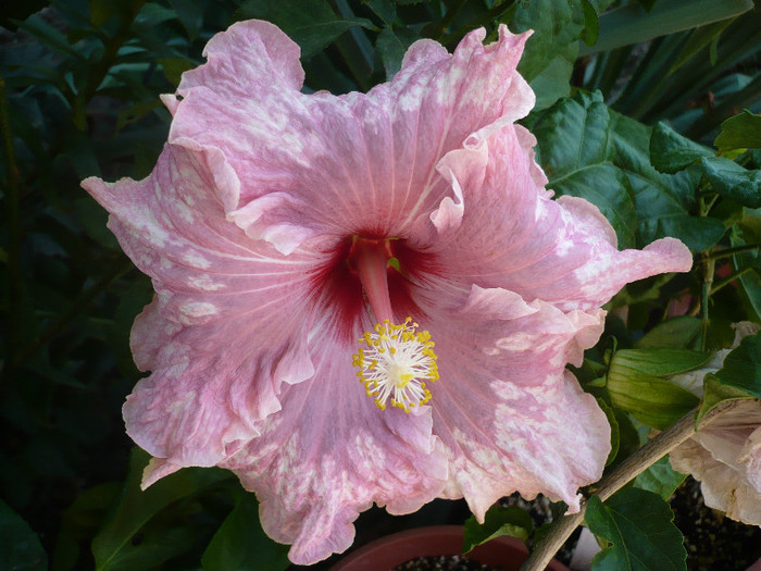 P1170995