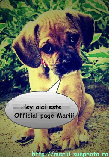 #Mariii - 00Buna mariii