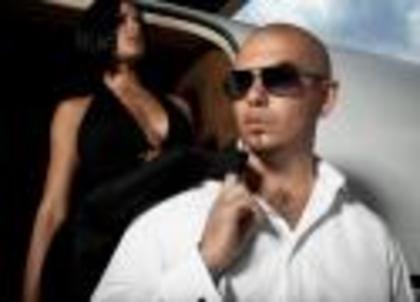 pitbull4