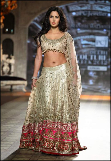 246849_490577717620956_1150505275_n - 0 Katrina Kaif