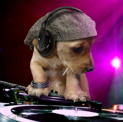 DJ  "REX"; Ce mixaj fain...
