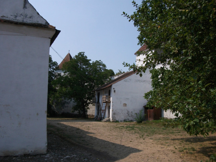 Picture 164 - Biserica fortificata Harman
