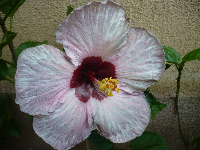 P1180011