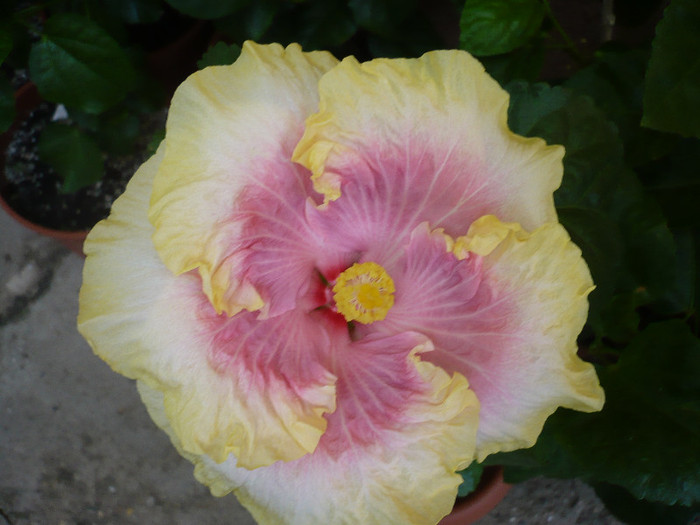 P1180012