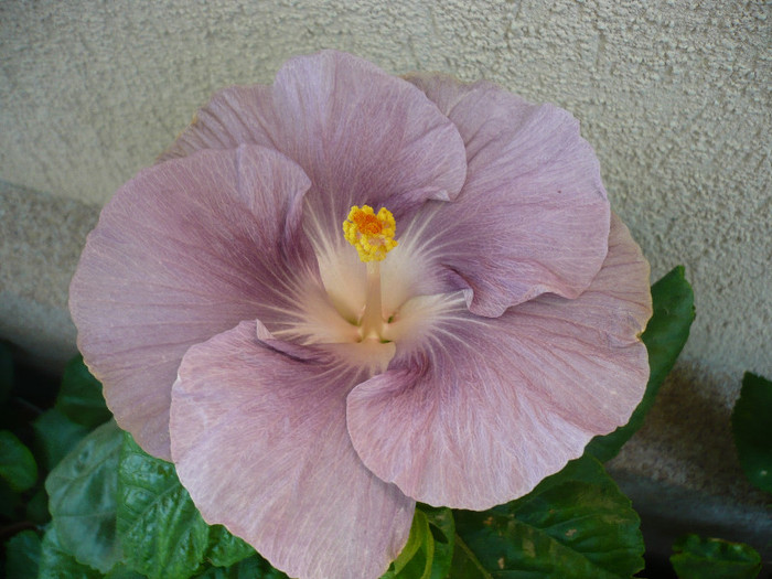 P1180019