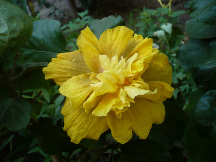 P1180021