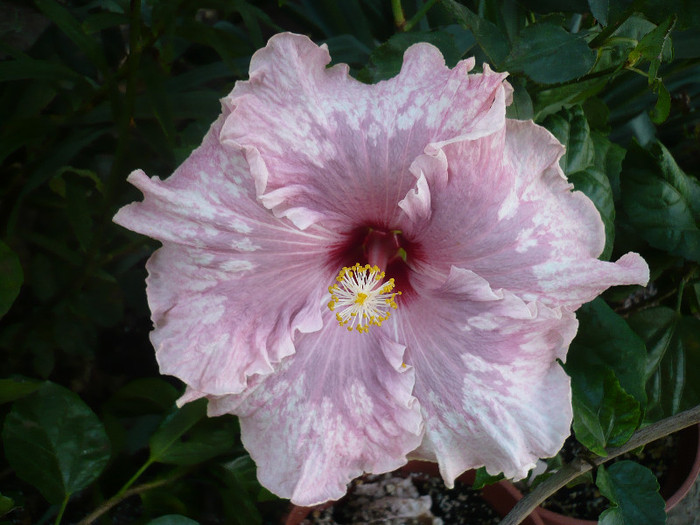 P1180023
