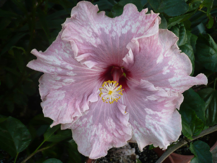 P1180024