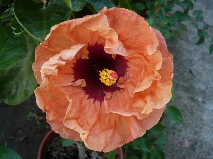 P1180026