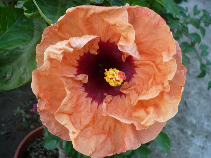 P1180028