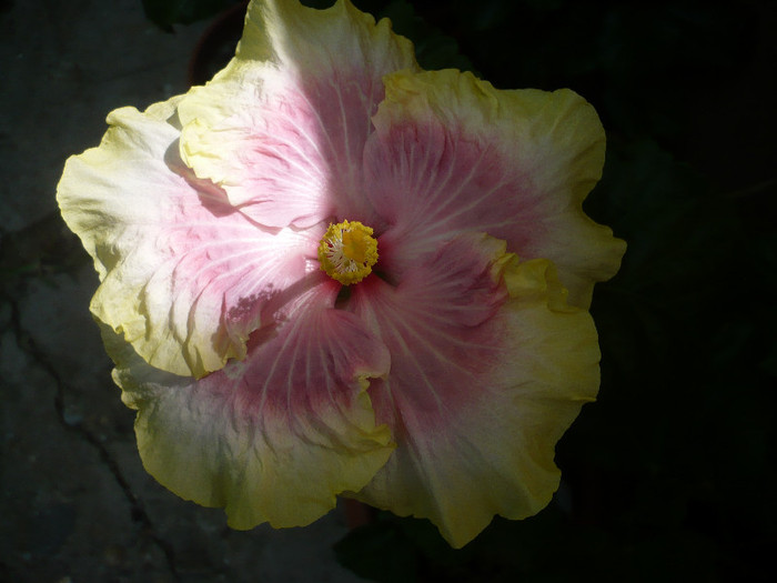 P1180046
