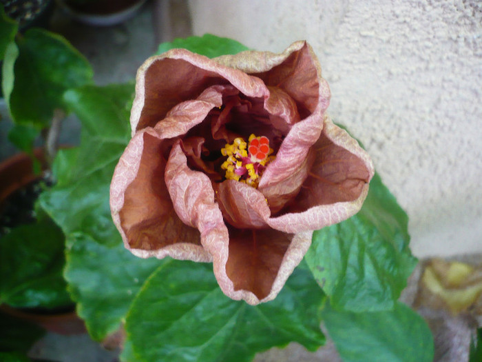 P1180049