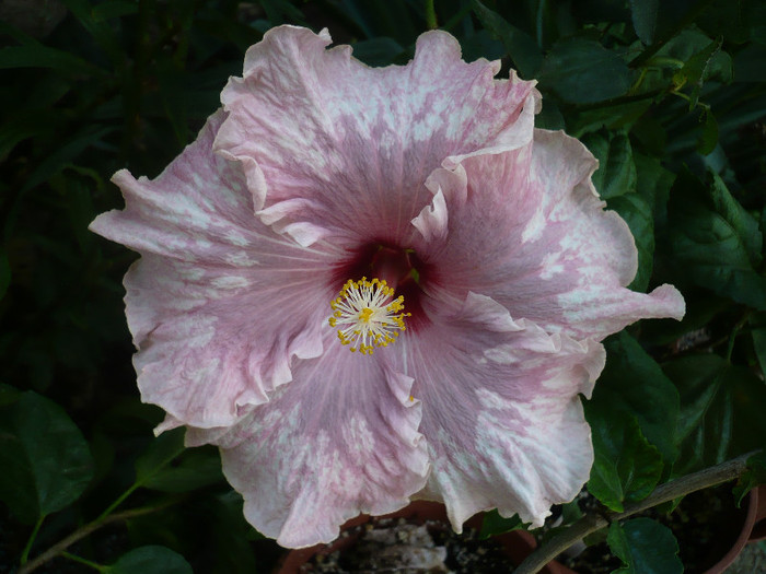 P1180053