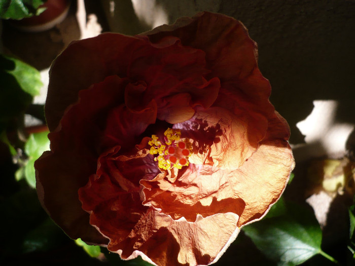 P1180056