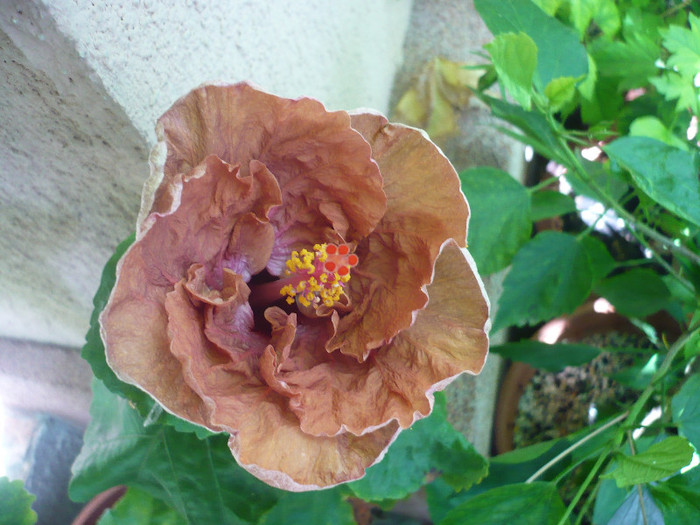P1180057
